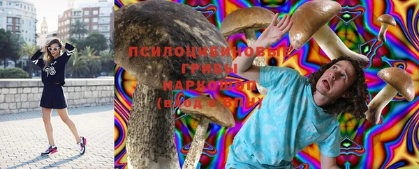 кокаин перу Богданович