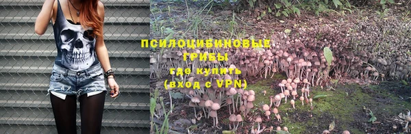 бутик Бородино