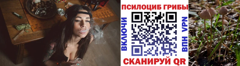 Галлюциногенные грибы ЛСД  Курганинск 